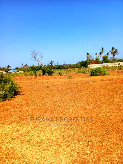 For Sale 4 Acre Land Mtapa - Image 3