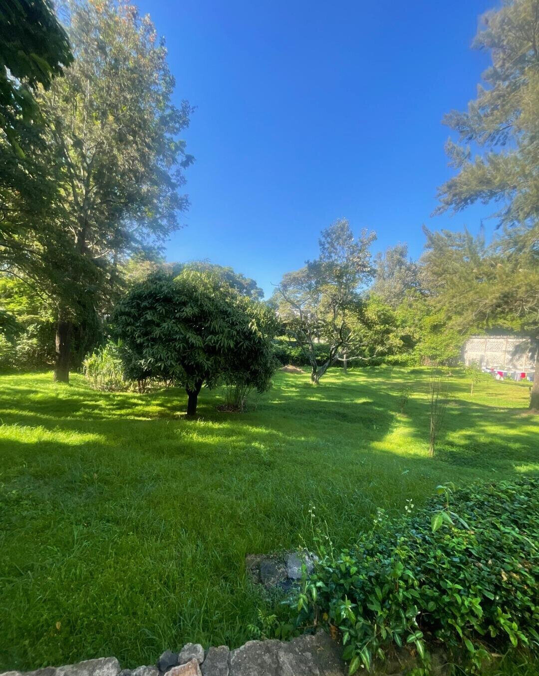 1.5 Acre Riverside Land with Garden