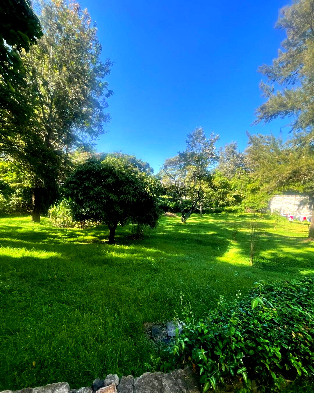 1.5 Acre Riverside Land with Garden