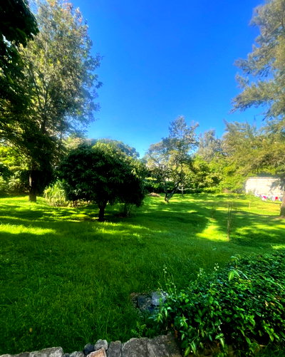 1.5 Acre Riverside Land with Garden