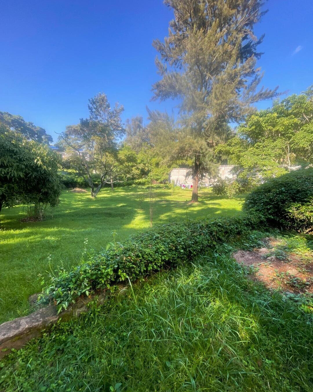 1.5 Acre Riverside Land with Garden
