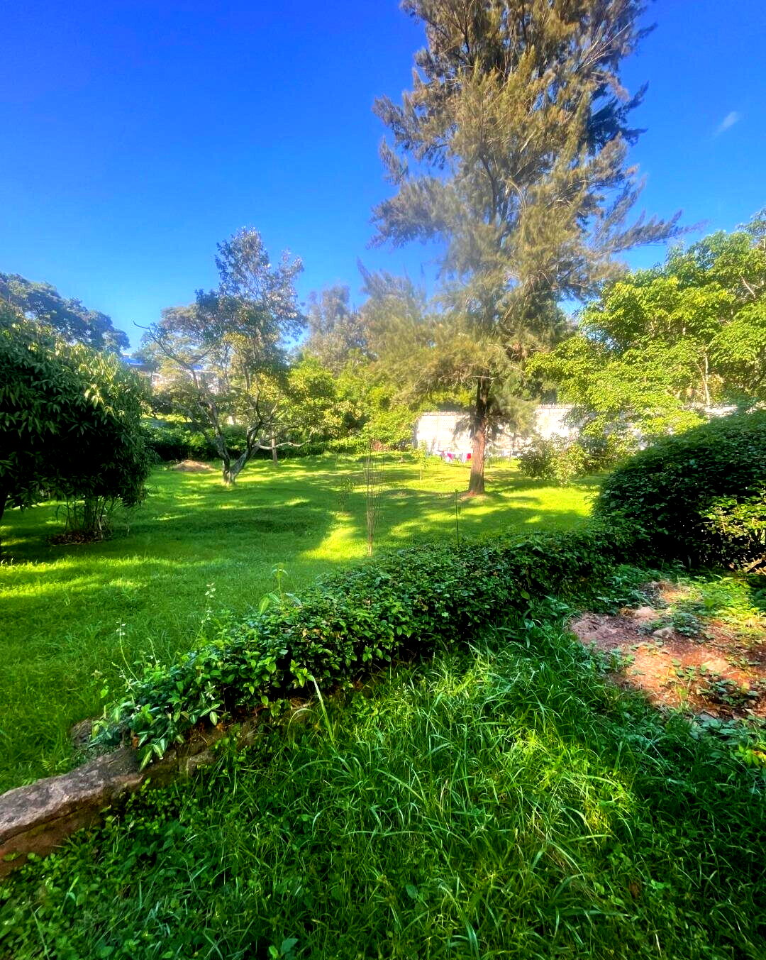 1.5 Acre Riverside Land with Garden