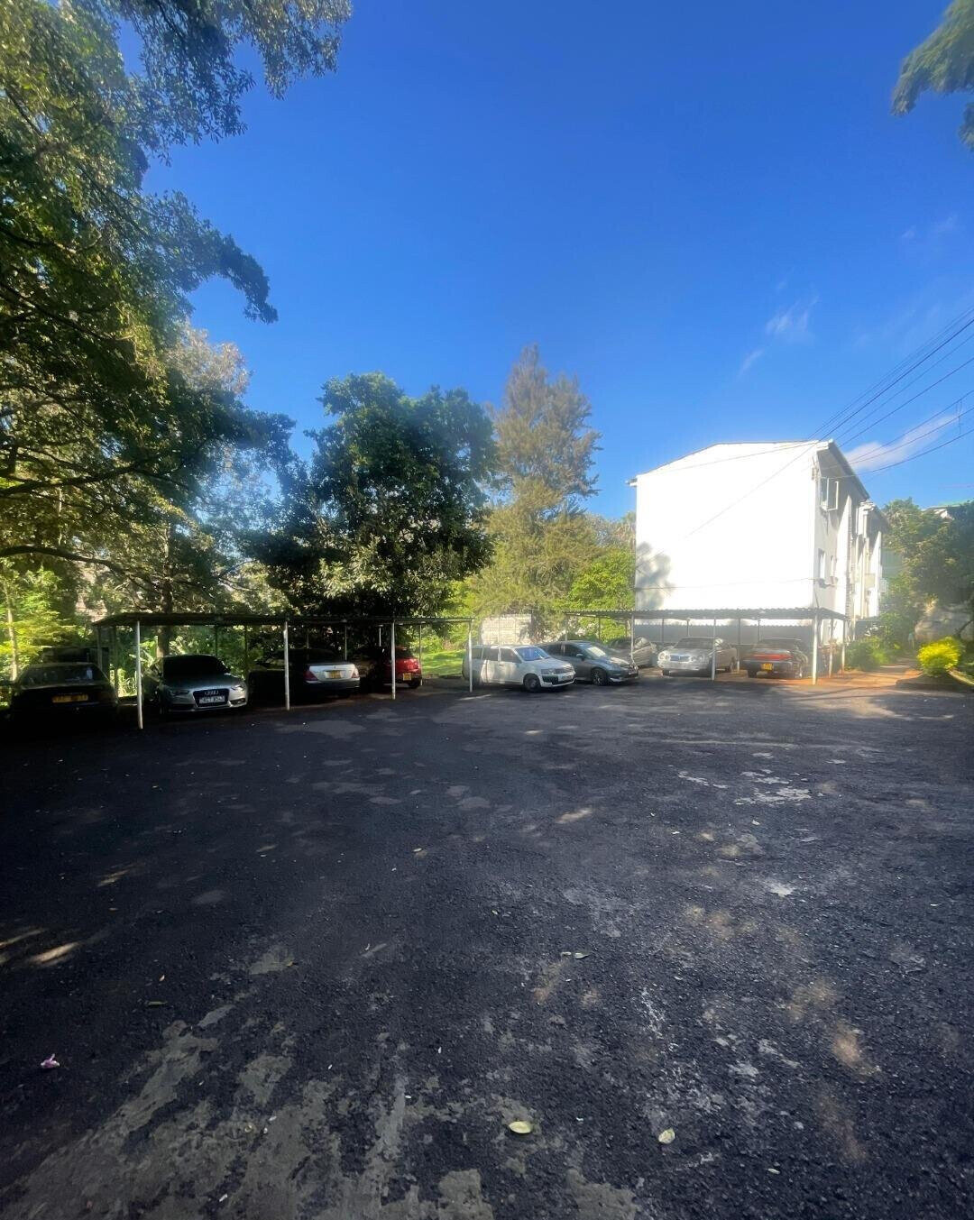 1.5 Acre Riverside Land with Garden
