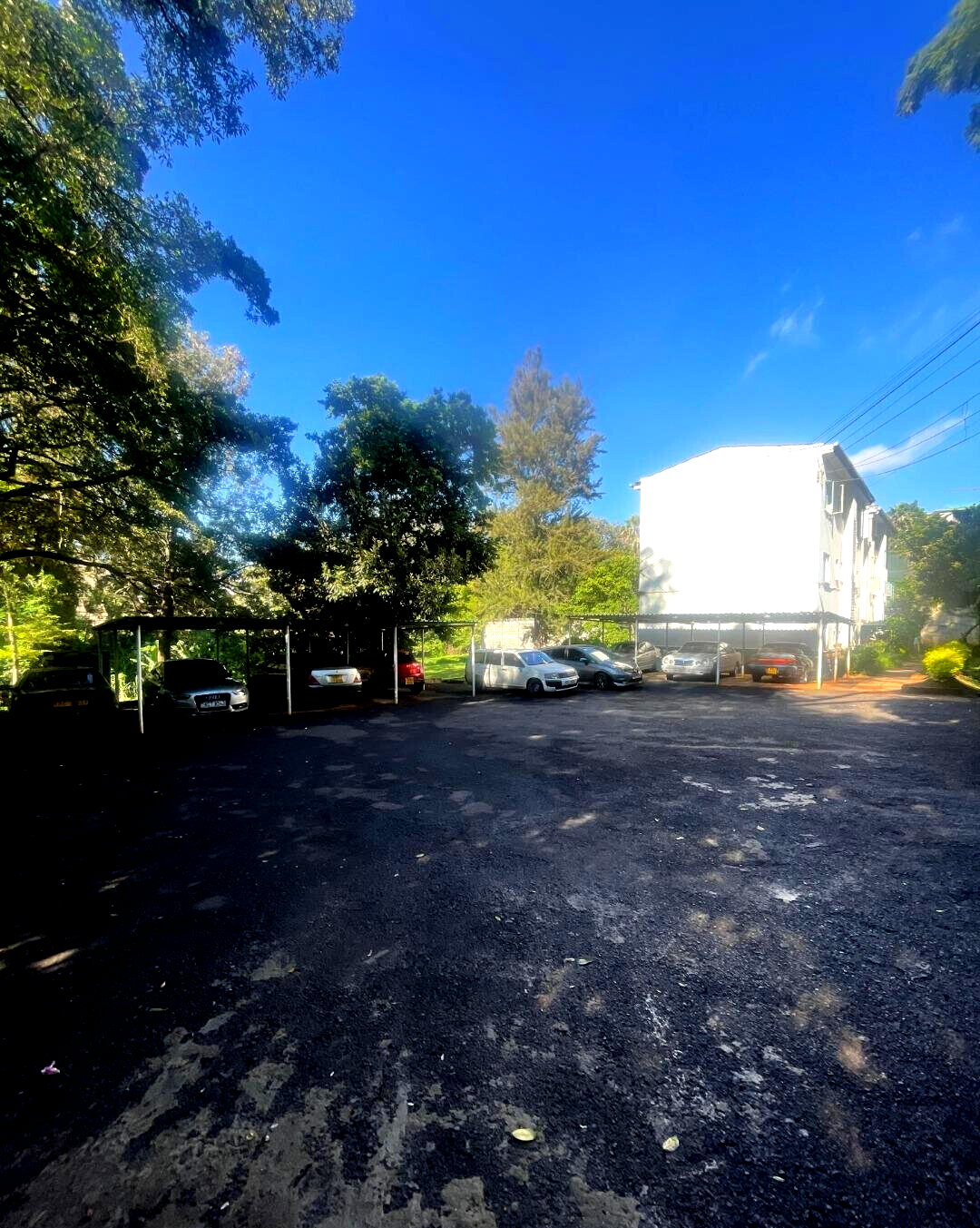 1.5 Acre Riverside Land with Garden