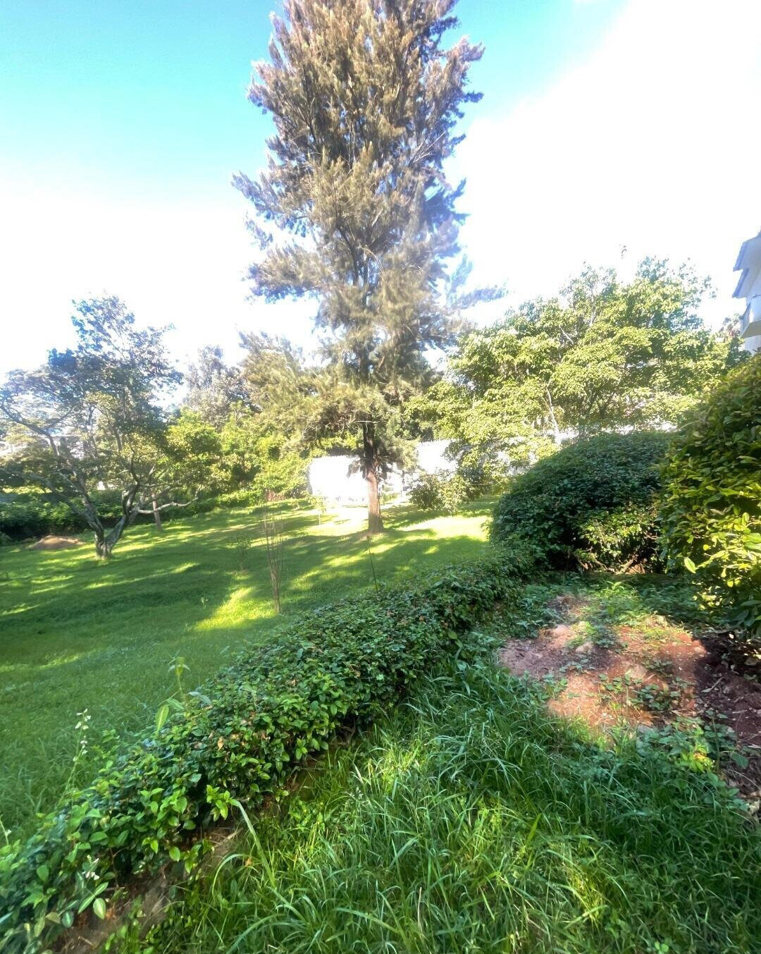 1.5 Acre Riverside Land with Garden