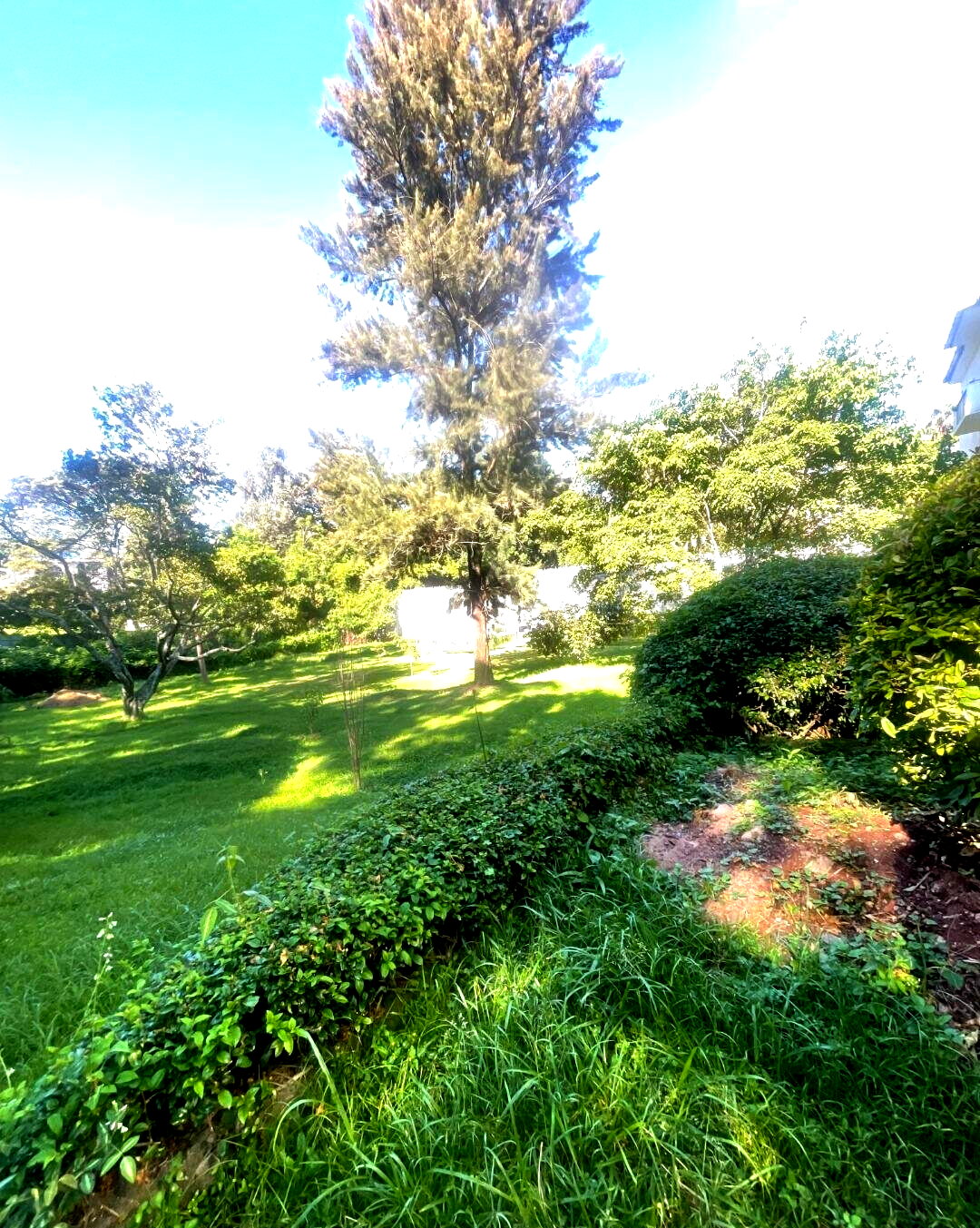1.5 Acre Riverside Land with Garden