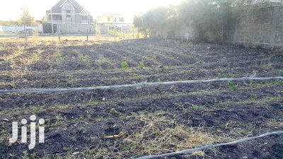 Prime 1/4 Acre for Sale in Syokimau - Image 2