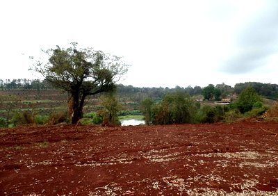 1/8 Acre Garden Plot with Parking - Thika