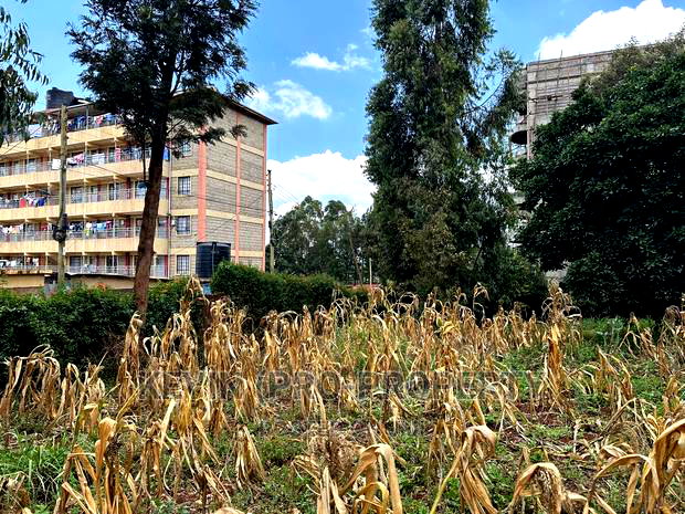 Prime Commercial Plot for Sale in Kikuyu, Thogoto