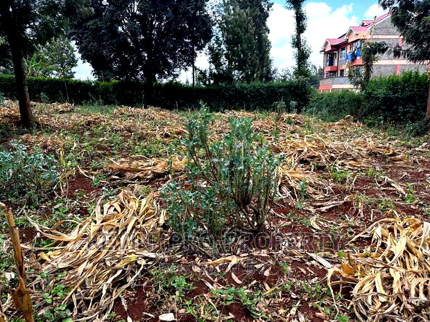 Prime Commercial Plot for Sale in Kikuyu, Thogoto