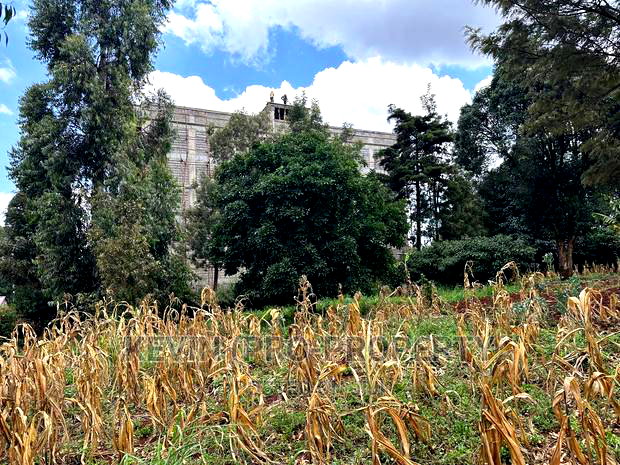 Prime Commercial Plot for Sale in Kikuyu, Thogoto