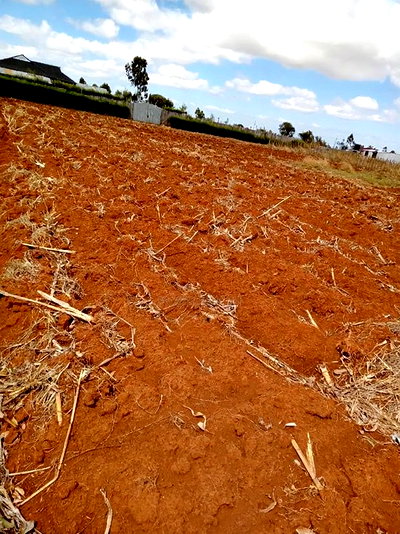 1/2 Acre Plot Kuinet With Title