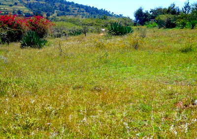 2-Acre Plot with Garden in Mua Hills