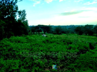 Half (1/2) Acre Residential Land in Kandisi, Ongata Rongai - Image 2