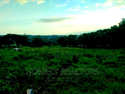 Half (1/2) Acre Residential Land in Kandisi, Ongata Rongai - Image 3