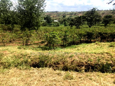 Available 164 Acres Near Tatu City Less Than 5km From Kamiti - Image 2