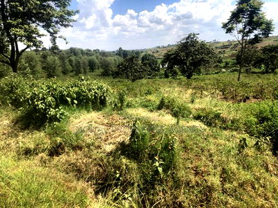 Available 164 Acres Near Tatu City Less Than 5km From Kamiti - Image 4