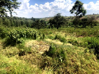 Available 164 Acres Near Tatu City Less Than 5km From Kamiti - Image 3