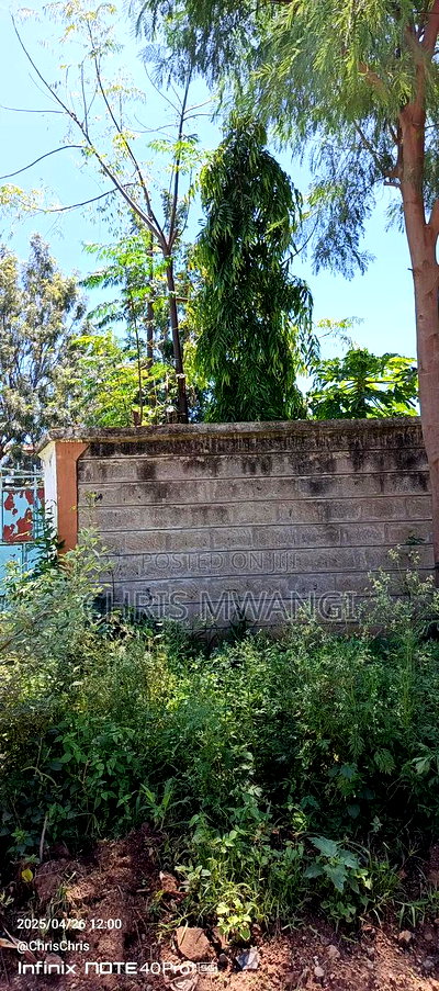 Clean Title - Image 4