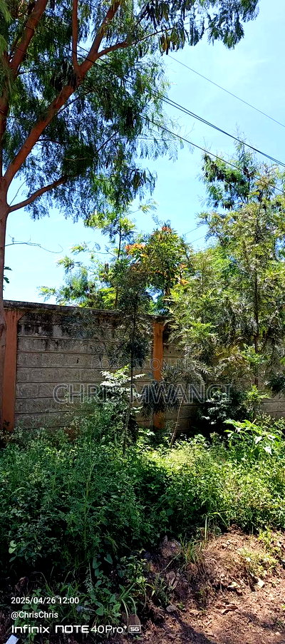 Clean Title - Image 1