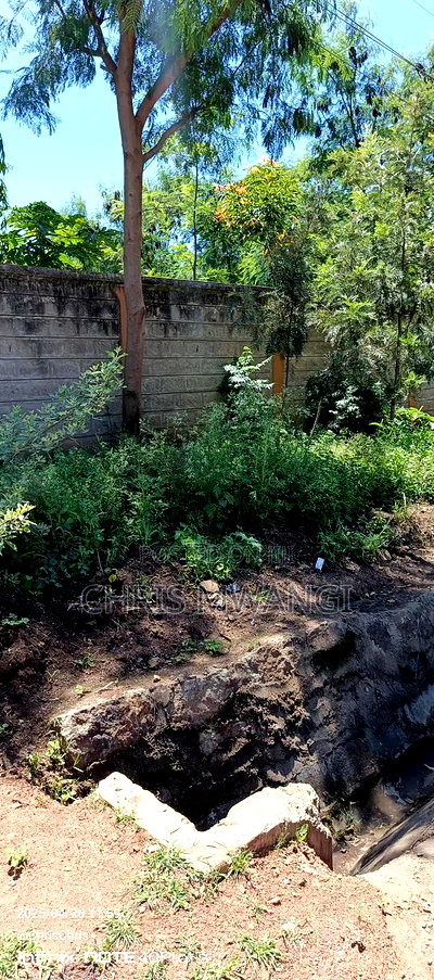 Clean Title - Image 6