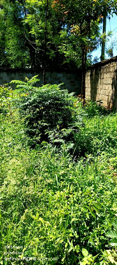 Clean Title - Image 7