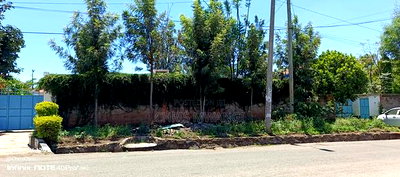 Clean Title - Image 5