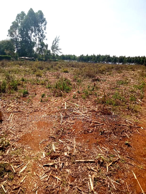 3 Acres Kaboi With Title Kiplombe Route