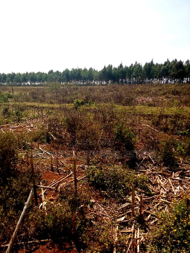 3 Acres Kaboi With Title Kiplombe Route