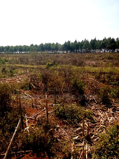 3 Acres Kaboi With Title Kiplombe Route - Image 2