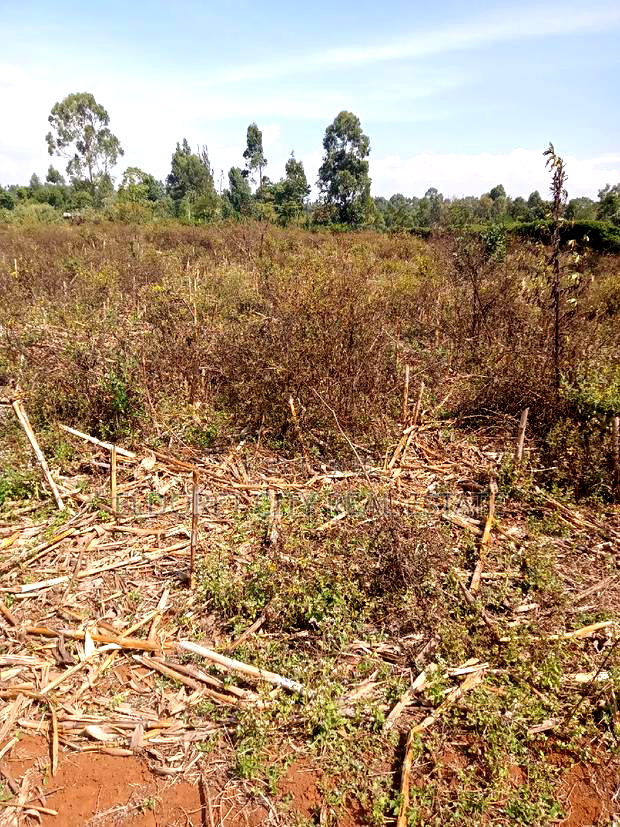 3 Acres Kaboi With Title Kiplombe Route