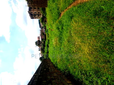 Prime 1 Acre on Sale, Kahawa Wendani - Image 4
