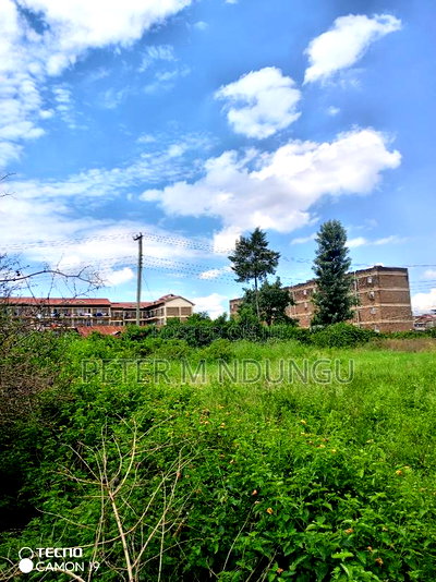 Prime 1 Acre on Sale, Kahawa Wendani - Image 2