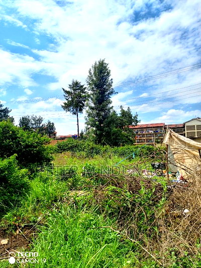 Prime 1 Acre on Sale, Kahawa Wendani - Image 3