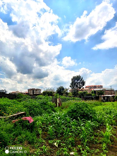 Prime 1 Acre on Sale, Kahawa Wendani - Image 6