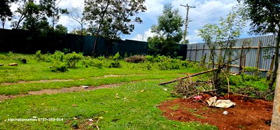 Commercial 1/4 Plot for Sale in Annex Eldoret Stabex - Image 2