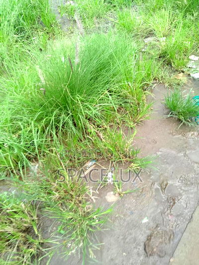 Visible 3/4 Acre 5bderooms Lavington Restaurants/Office - Image 4