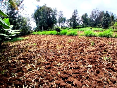 Prime Redsoil Acre Land With 3 BDM Bungalow in Upper Matasia - Image 2