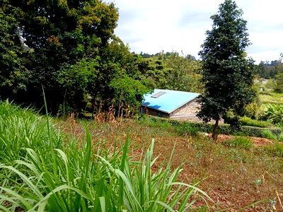 Prime Redsoil Acre Land With 3 BDM Bungalow in Upper Matasia - Image 1