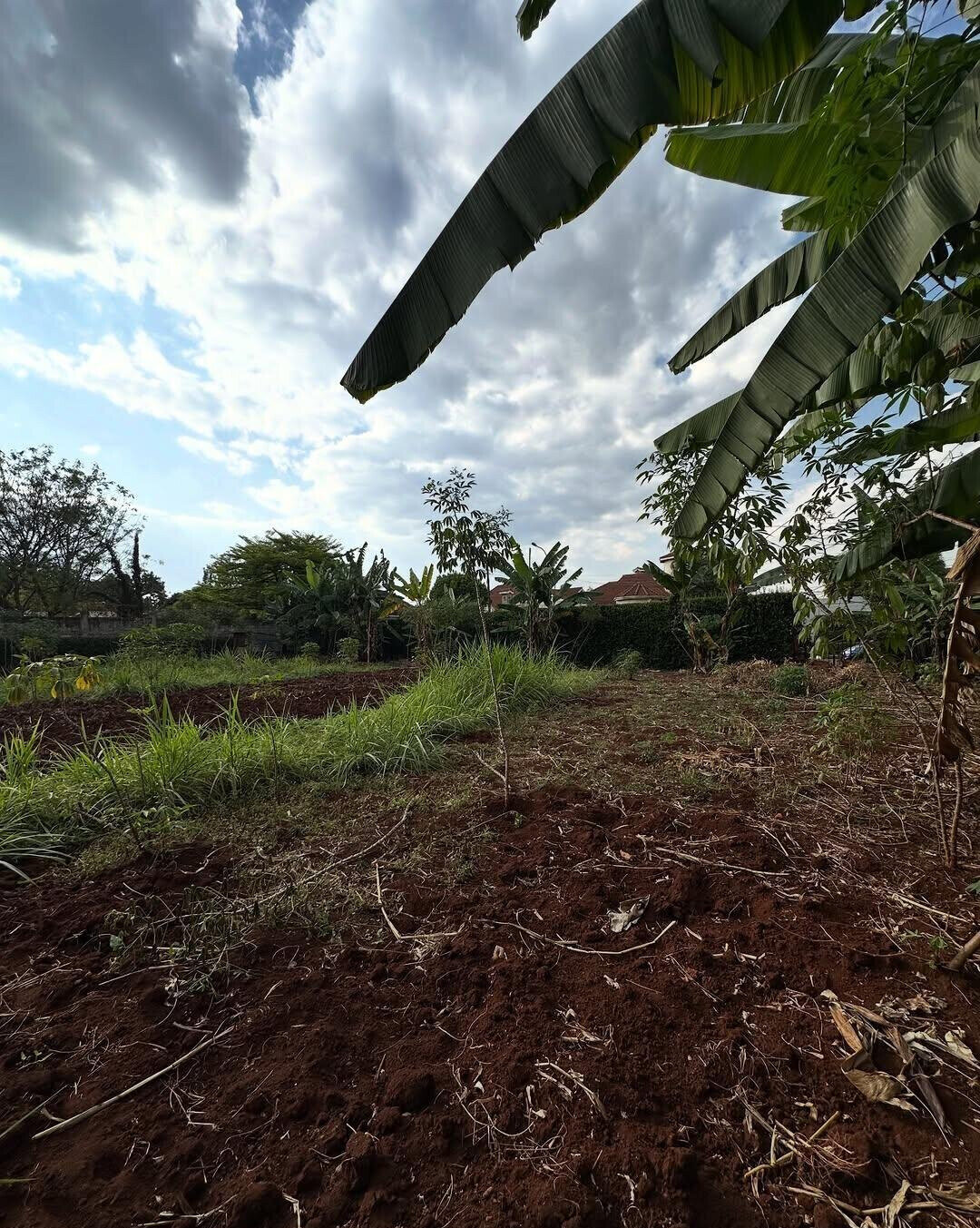 Half Acre Plot at KSh 70M