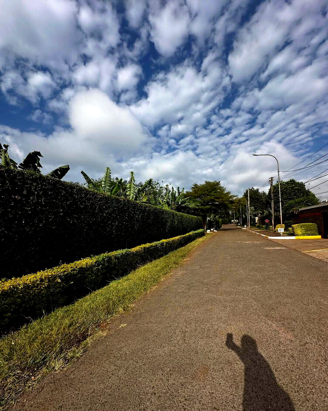 Half Acre Plot at KSh 70M