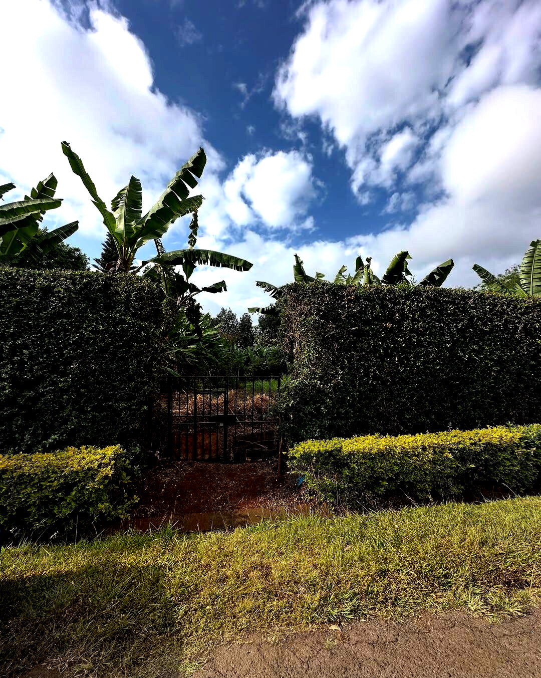Half Acre Plot at KSh 70M