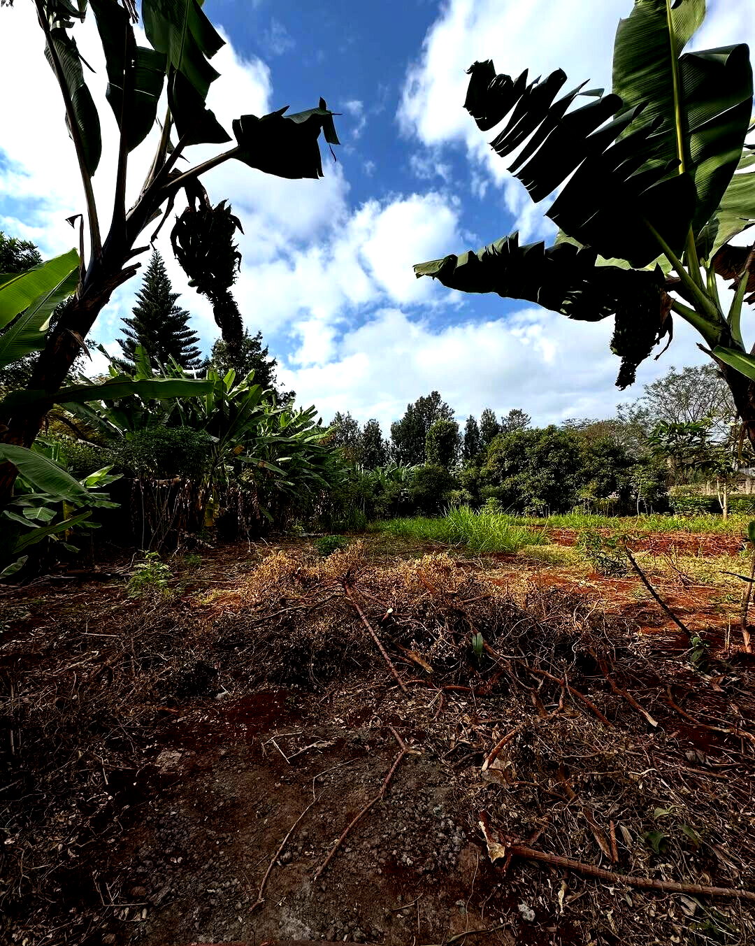 Half Acre Plot at KSh 70M