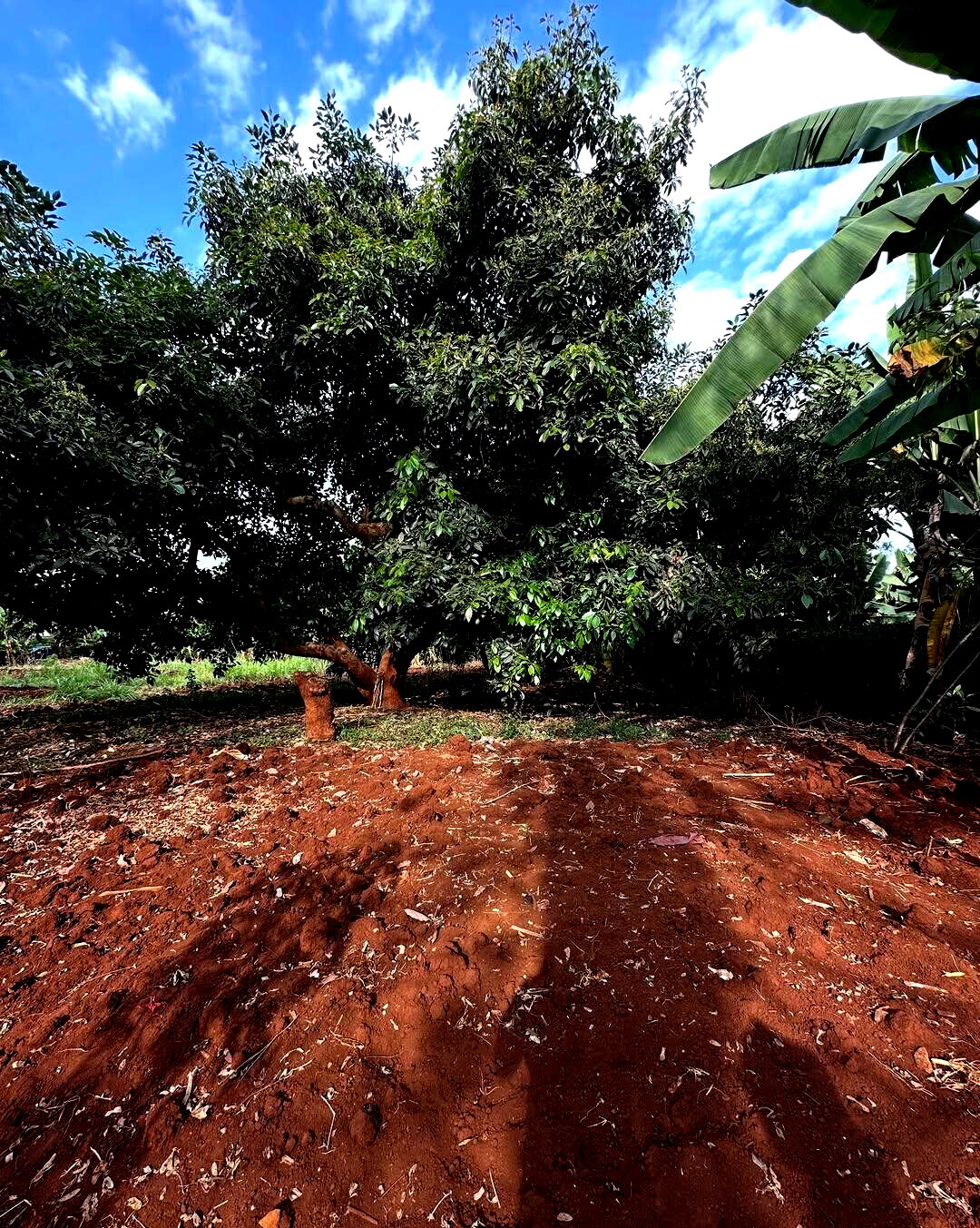 Half Acre Plot at KSh 70M