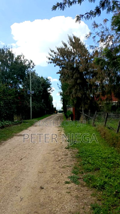 50x100 Plot in Police Sacco Estate 4th Avenue - Image 5