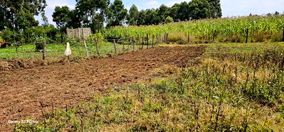 3bdrm House in Chepkanga, Kimumu for sale - Image 9