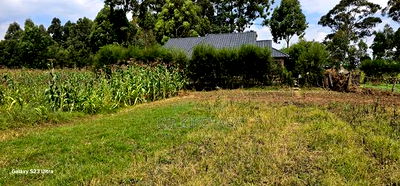 3bdrm House in Chepkanga, Kimumu for sale - Image 10