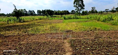 3bdrm House in Chepkanga, Kimumu for sale - Image 8