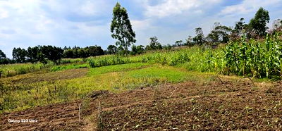 3bdrm House in Chepkanga, Kimumu for sale - Image 7