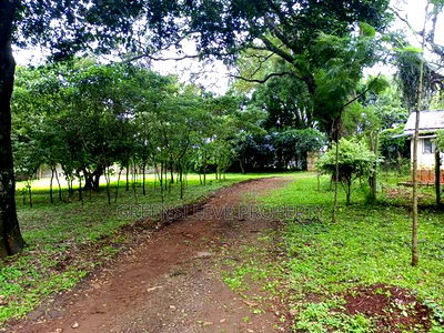 Land for Sale - Image 7